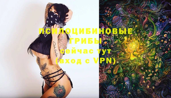 скорость Баксан